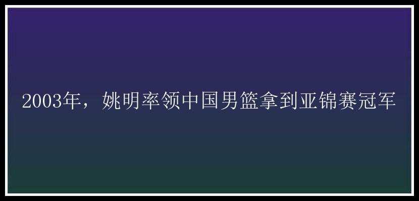 2003年，姚明率领中国男篮拿到亚锦赛冠军