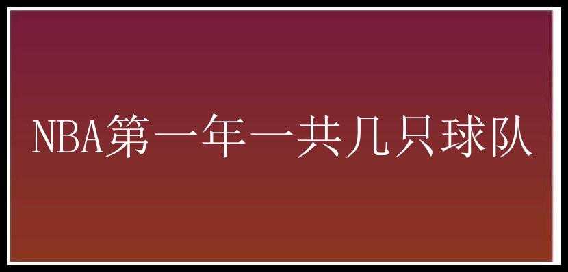 NBA第一年一共几只球队