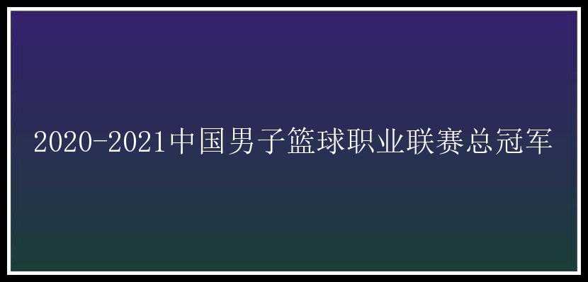 2020-2021中国男子篮球职业联赛总冠军