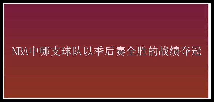 NBA中哪支球队以季后赛全胜的战绩夺冠