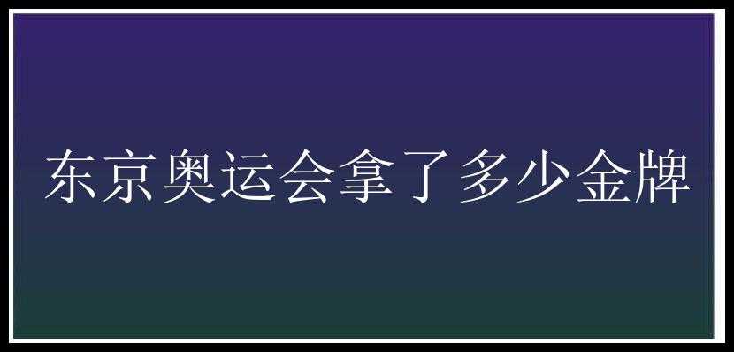 东京奥运会拿了多少金牌