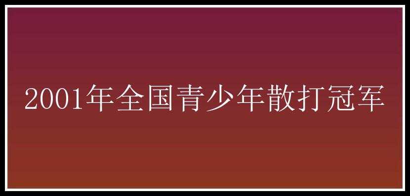 2001年全国青少年散打冠军