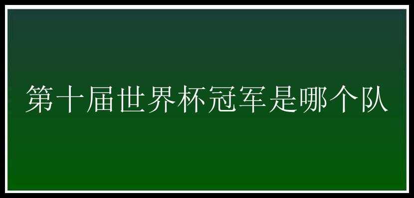 第十届世界杯冠军是哪个队