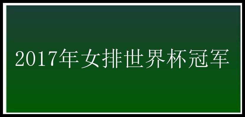 2017年女排世界杯冠军