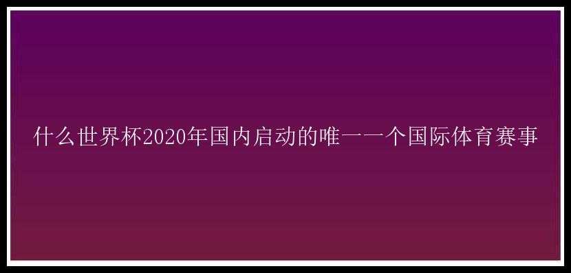 什么世界杯2020年国内启动的唯一一个国际体育赛事