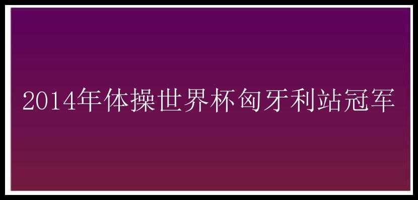 2014年体操世界杯匈牙利站冠军