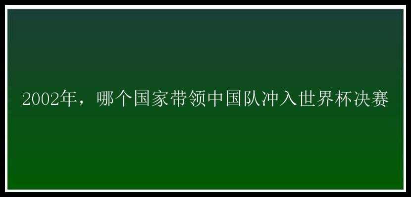 2002年，哪个国家带领中国队冲入世界杯决赛