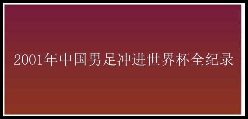 2001年中国男足冲进世界杯全纪录