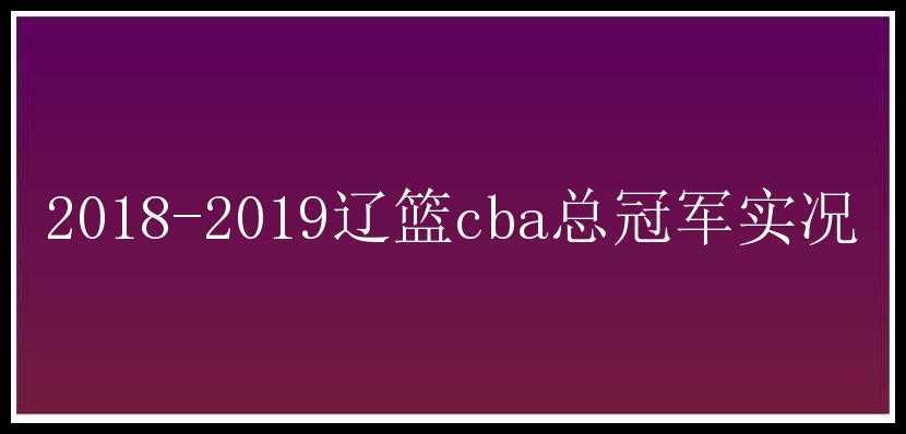 2018-2019辽篮cba总冠军实况