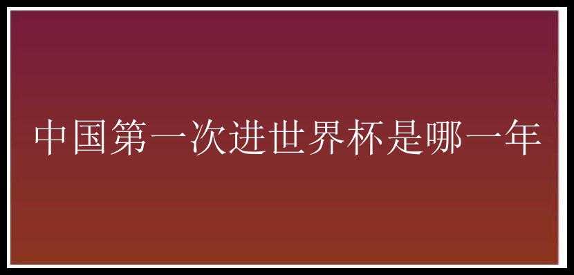 中国第一次进世界杯是哪一年