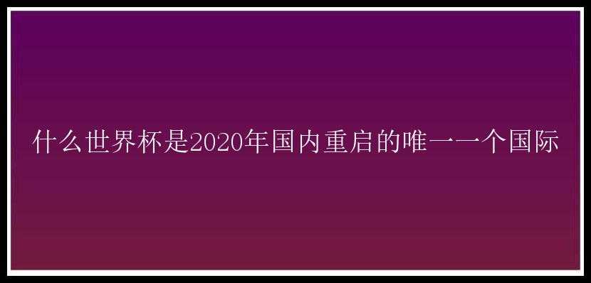 什么世界杯是2020年国内重启的唯一一个国际