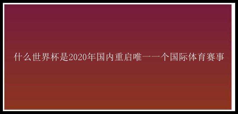 什么世界杯是2020年国内重启唯一一个国际体育赛事