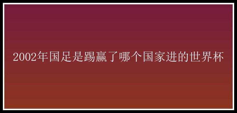 2002年国足是踢赢了哪个国家进的世界杯