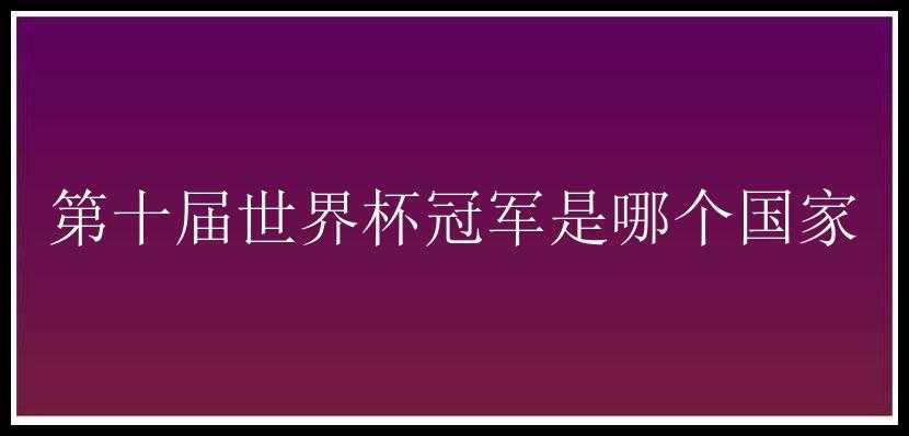 第十届世界杯冠军是哪个国家