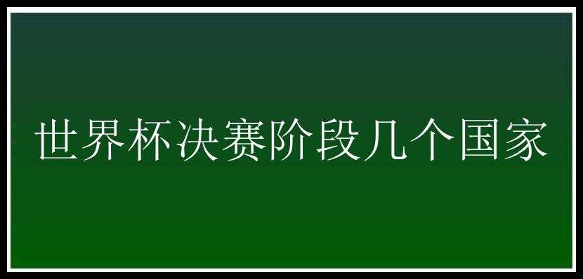 世界杯决赛阶段几个国家