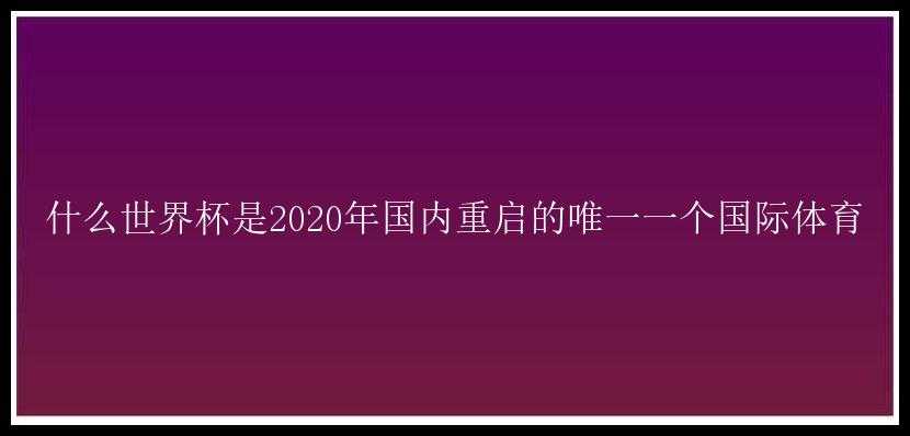 什么世界杯是2020年国内重启的唯一一个国际体育