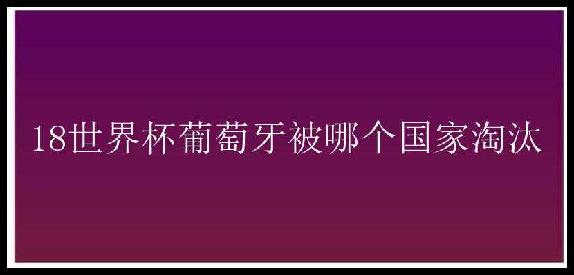 18世界杯葡萄牙被哪个国家淘汰