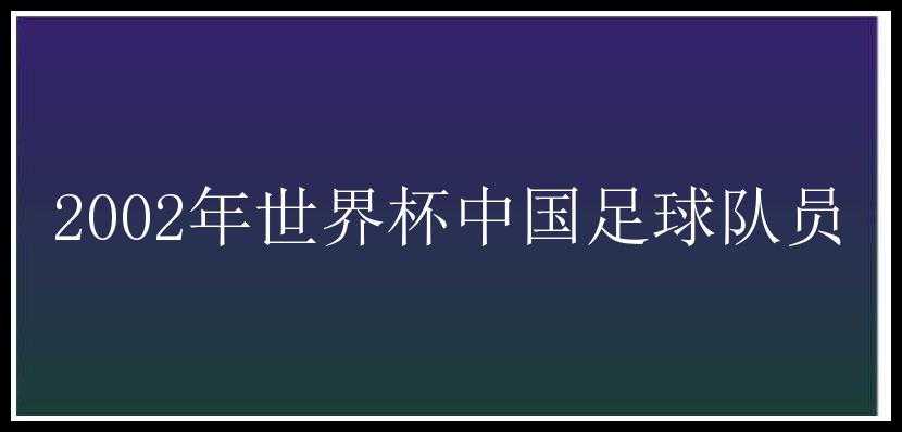 2002年世界杯中国足球队员