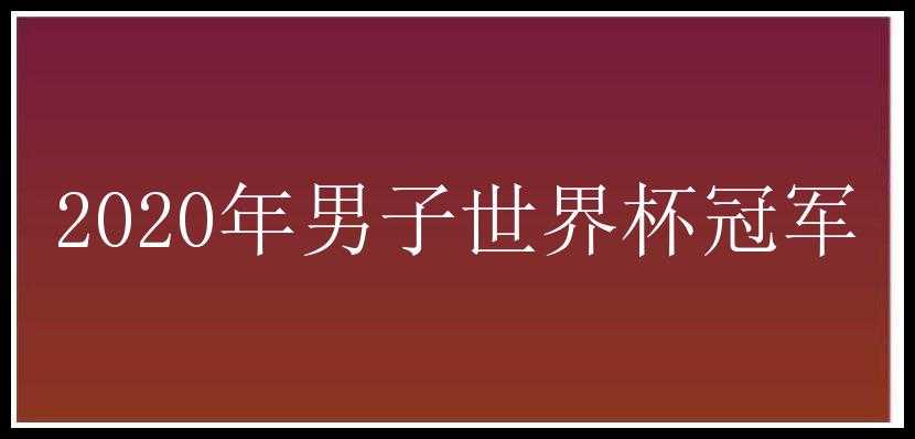 2020年男子世界杯冠军