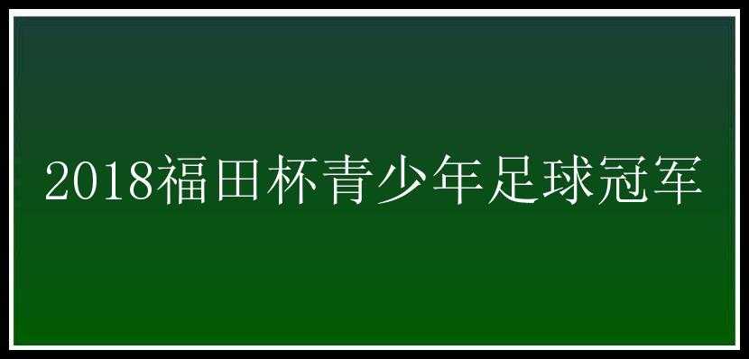 2018福田杯青少年足球冠军