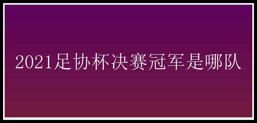 2021足协杯决赛冠军是哪队