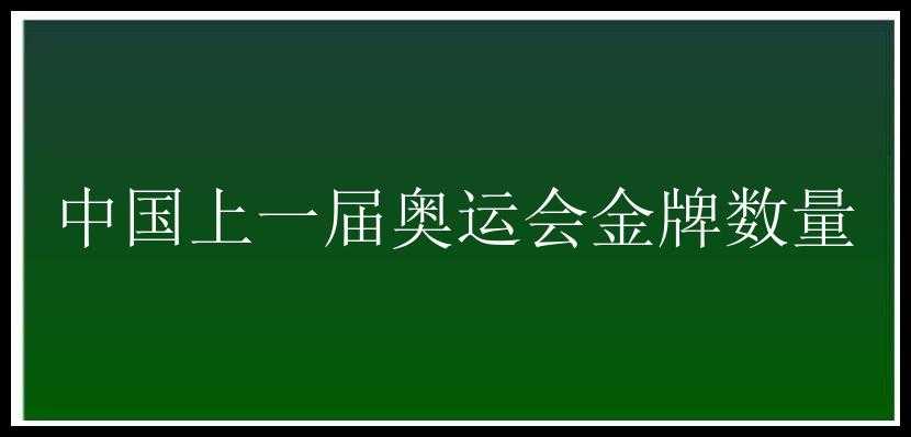 中国上一届奥运会金牌数量