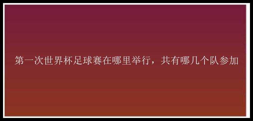 第一次世界杯足球赛在哪里举行，共有哪几个队参加