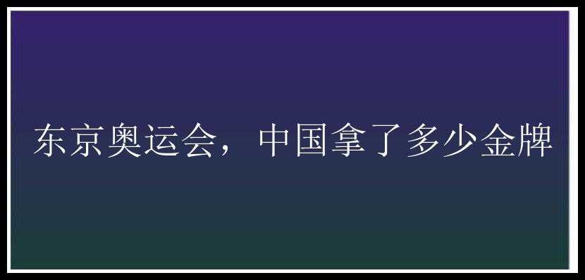 东京奥运会，中国拿了多少金牌