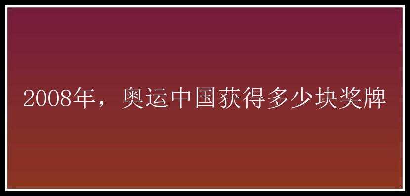 2008年，奥运中国获得多少块奖牌