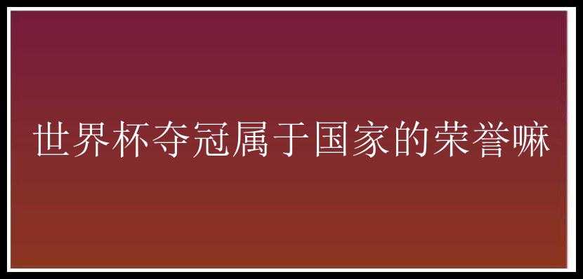 世界杯夺冠属于国家的荣誉嘛