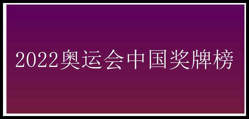 2022奥运会中国奖牌榜