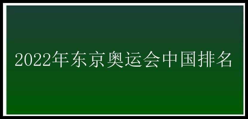 2022年东京奥运会中国排名