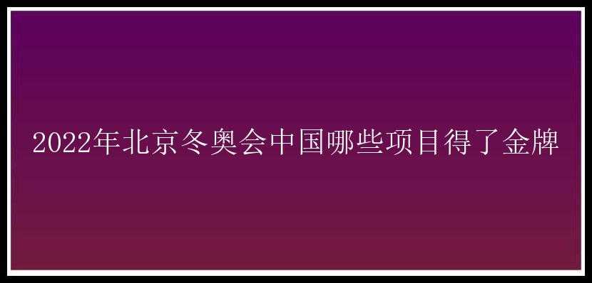 2022年北京冬奥会中国哪些项目得了金牌