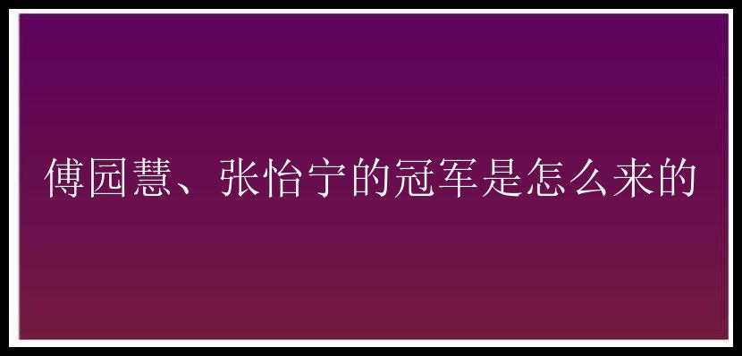 傅园慧、张怡宁的冠军是怎么来的