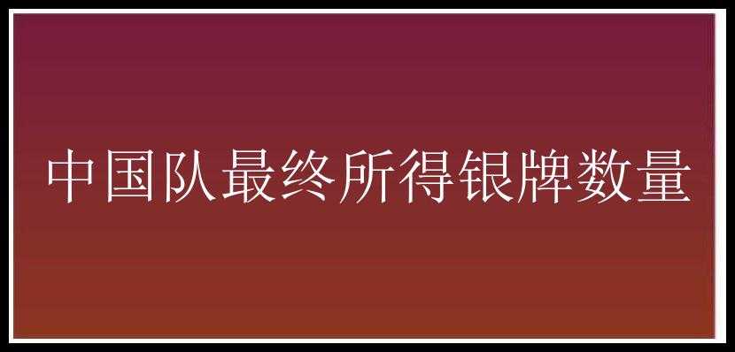 中国队最终所得银牌数量