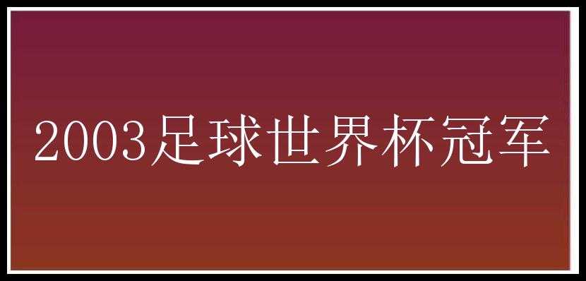 2003足球世界杯冠军