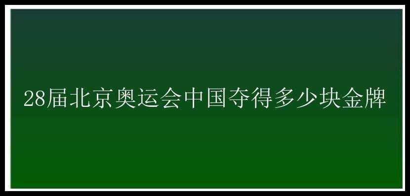 28届北京奥运会中国夺得多少块金牌