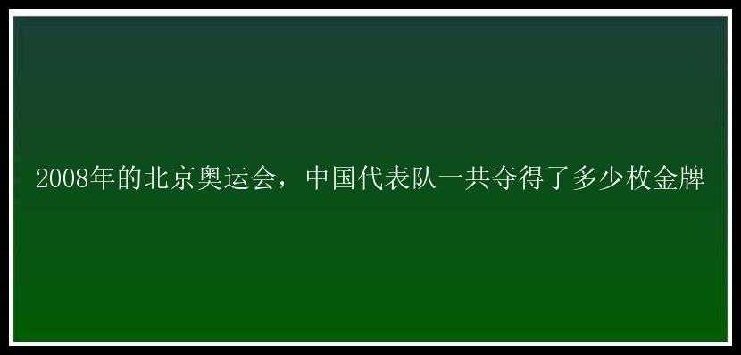 2008年的北京奥运会，中国代表队一共夺得了多少枚金牌