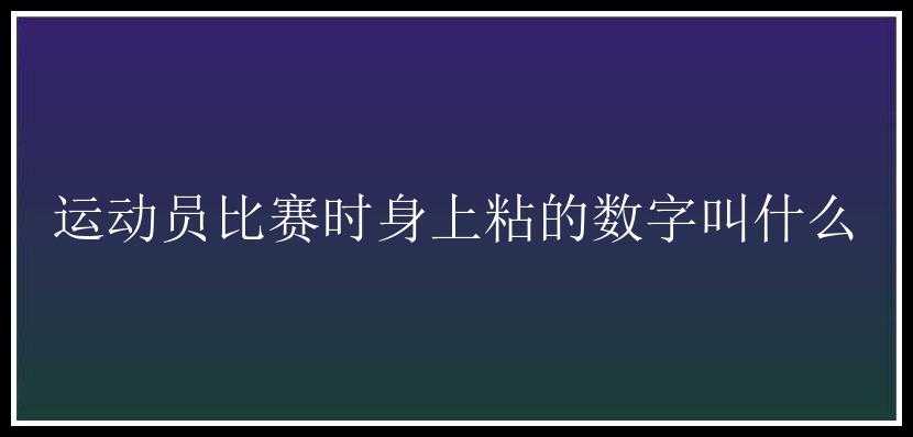 运动员比赛时身上粘的数字叫什么