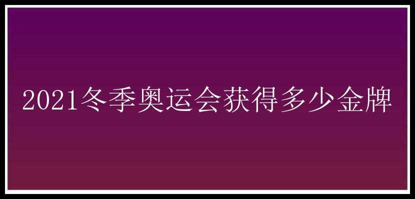 2021冬季奥运会获得多少金牌