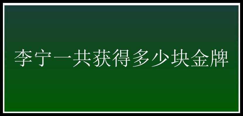 李宁一共获得多少块金牌