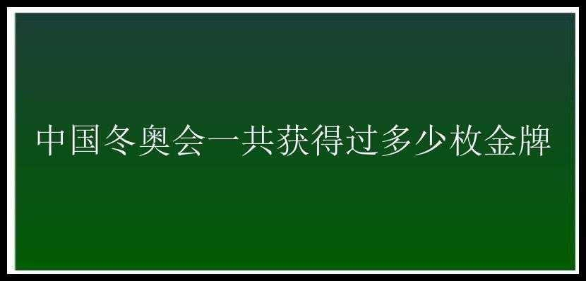 中国冬奥会一共获得过多少枚金牌