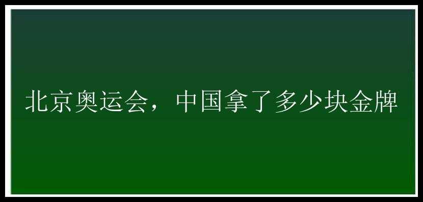 北京奥运会，中国拿了多少块金牌