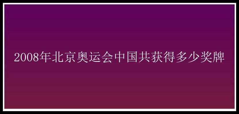 2008年北京奥运会中国共获得多少奖牌