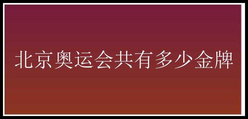 北京奥运会共有多少金牌