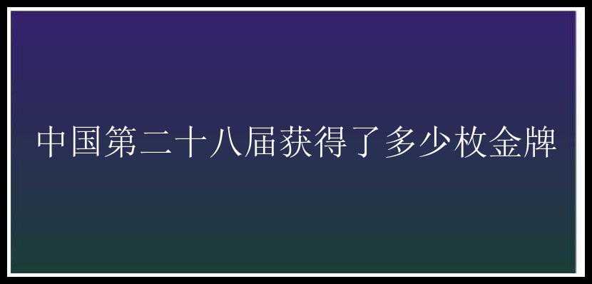 中国第二十八届获得了多少枚金牌