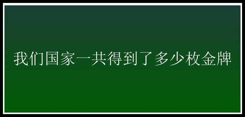 我们国家一共得到了多少枚金牌