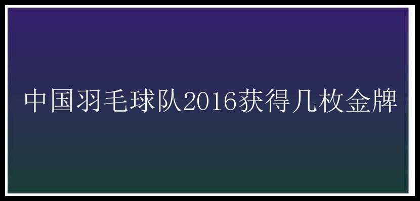 中国羽毛球队2016获得几枚金牌