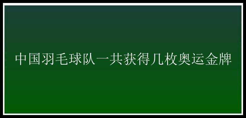 中国羽毛球队一共获得几枚奥运金牌