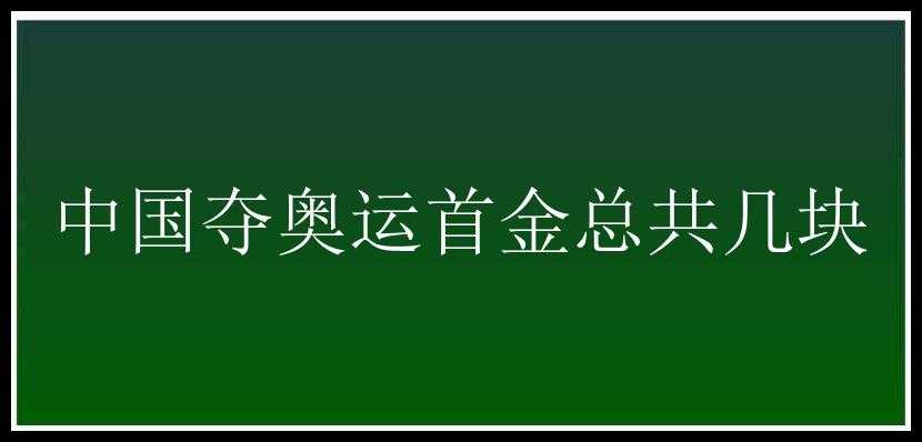 中国夺奥运首金总共几块